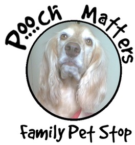 poochmatters pooch matters mumbai pet services dog grooming consultancy treats